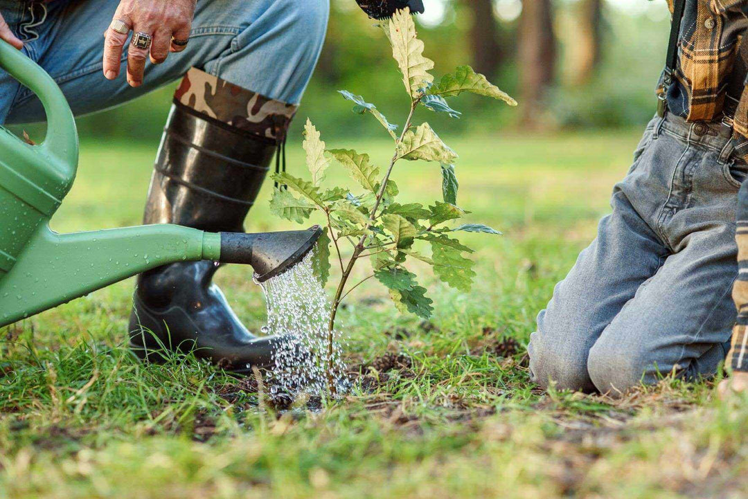 Planting Guides – Whitetail Hill Chestnuts