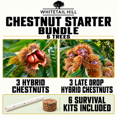 Chestnut Starter Bundle