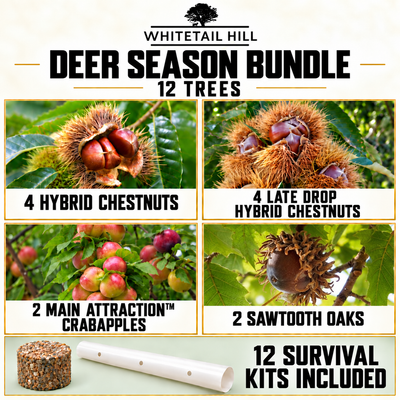 Deer Season Bundle