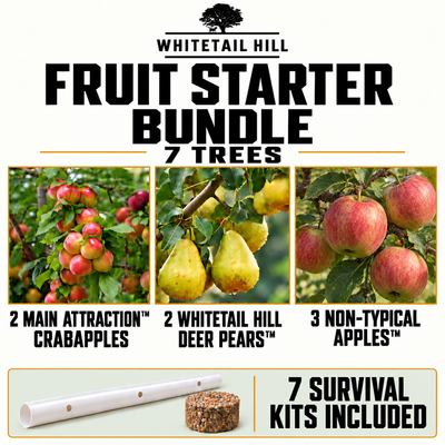Fruit Starter Bundle