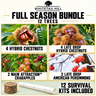 Deer Season Bundle