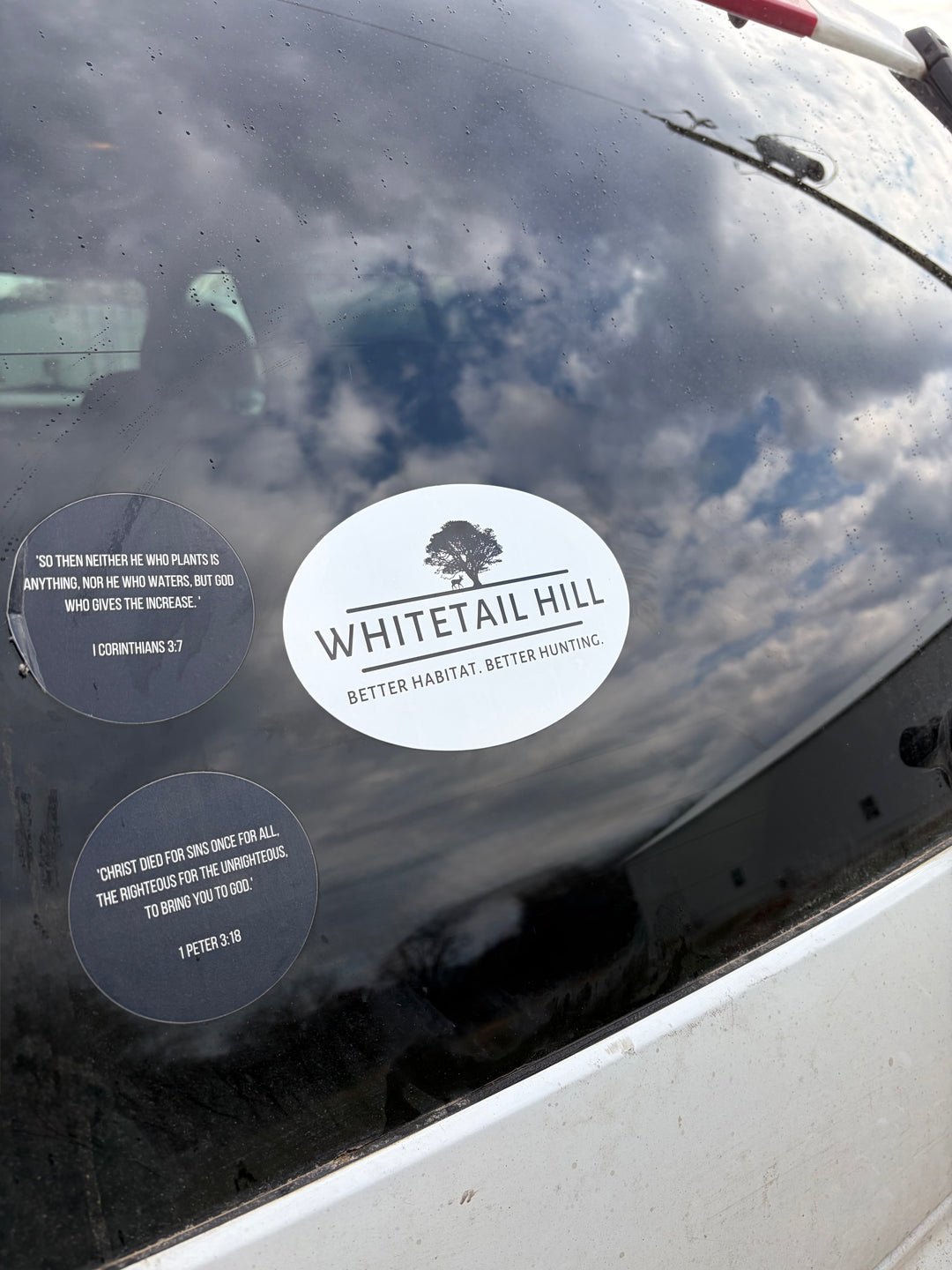 Whitetail Hill Vinyl Decal