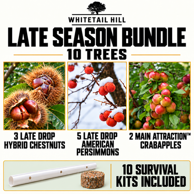 Late Season Bundle