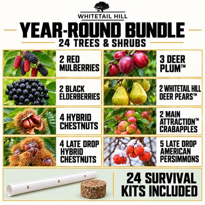 Year-Round Bundle