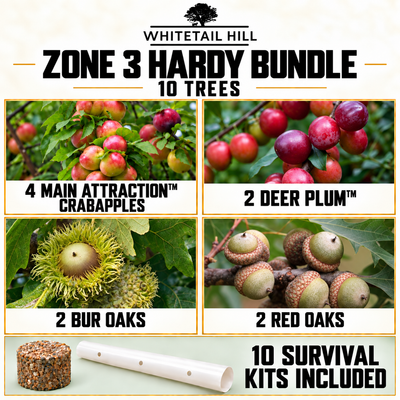 Zone 3 Hardy Bundle
