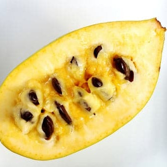Paw Paw